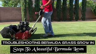 Troubleshooting Bermuda Grass Grow In