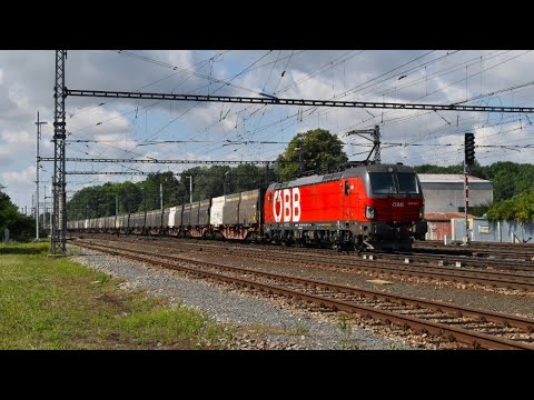 Vlaky - Břeclav - 19.7.2025