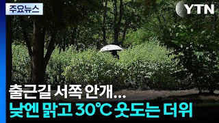 [날씨] 안개 뒤 맑음...서쪽 30℃ 웃도는 낮 더위 / YTN