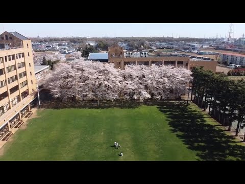 記念ホール・グラウンド
