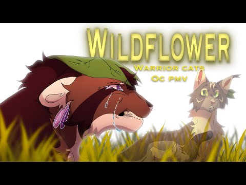 WILDFLOWER|| Warrior cats PMV