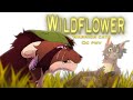 WILDFLOWER Warrior Cats PMV