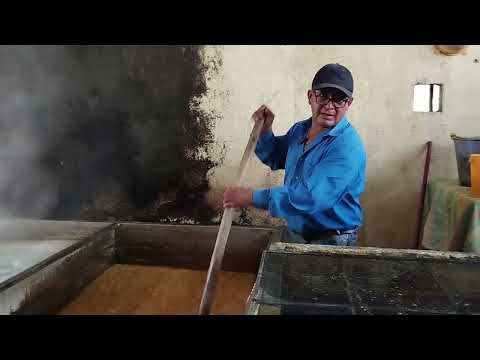 PANELA PRODUCTION IN LOJA | FIRST REPORT