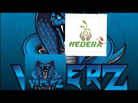 ViiperZ E-Sport v/s HEDERA