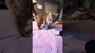 Download lagu Settle In mp3 Download lagu Settle In mp3