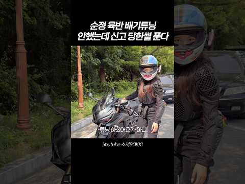 CBR650R 순정 배기인데 신고당함 ㅠㅠ