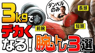 【初心者向け】自宅で簡単にデカい腕を作る！たった3kgで筋肉を破壊する究極メニュー！