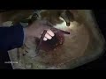 Ghost Ship Movie Scenes In Tamil HD