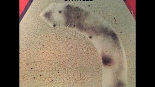 Jack Dejohnette Untitled (February 1976)