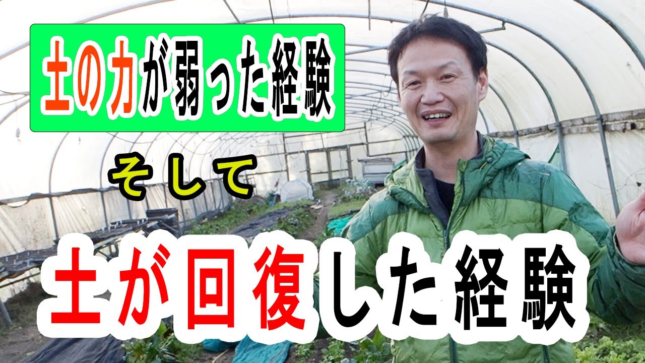 水を弾く弱った土を再生する方法