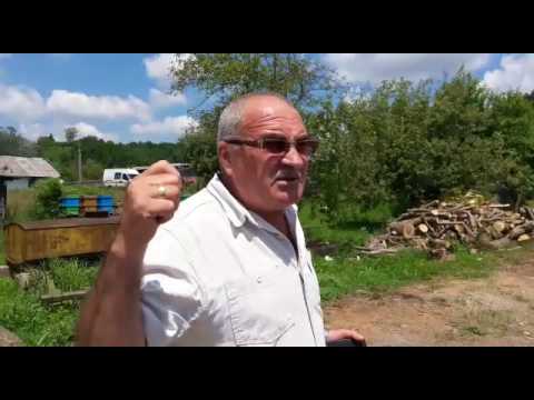 spargere primaria cocu 1