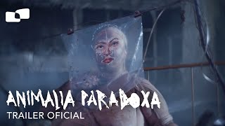 Animalia Paradoxa | Tráiler Oficial | Estreno 5 de diciembre