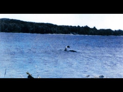 RELEASE THE BODETTE FILM!