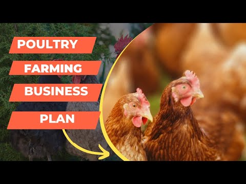 , title : 'Poultry Farming Business Plan : Best Tips to Expand the Livestock'