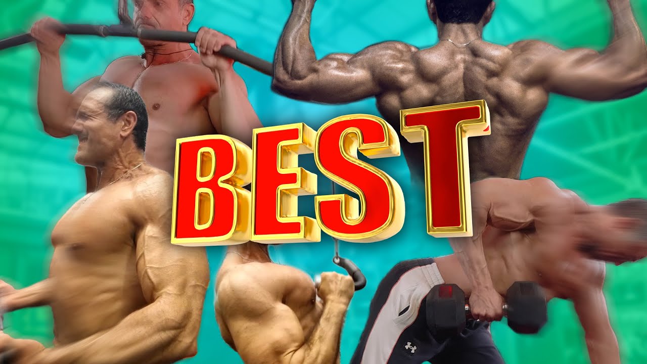 THE BEST BACK EXERCISES!!!