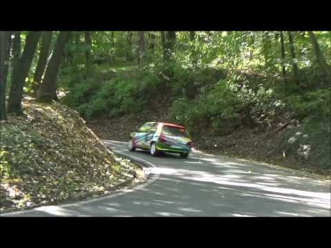 Dejan Radovic - Brdska trka Avala 2022 - Peugeot 106 1.3 rallye