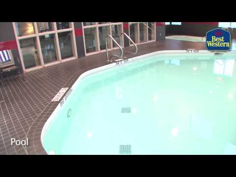 Best Western Wine Country Pool