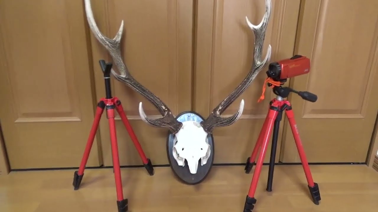 牧場シーズン最後の角