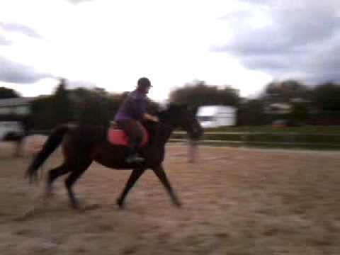 Jubiley & Mathilde saut.