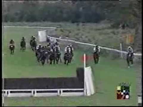 1997 Wastle Food & Wine Company Ltd Intermediate Open NH Flat Race