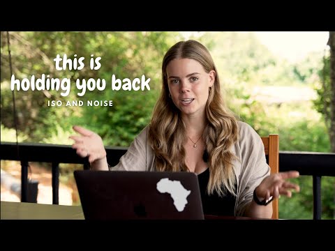 Top 3 Tips - How To Handle Noise In Wildlife Photography