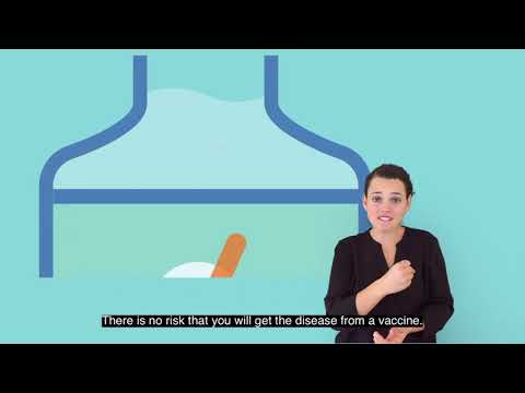 How to Sign Vector Quantity in Auslan