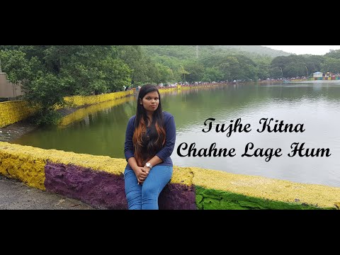 Noel Das Tujhe Kitna Chahne Lage Hum - Kabir Singh