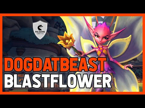 DogDatBeast Willo Competitive (Grandmaster) BLASTFLOWER - Immortal X11 - 45 Kill