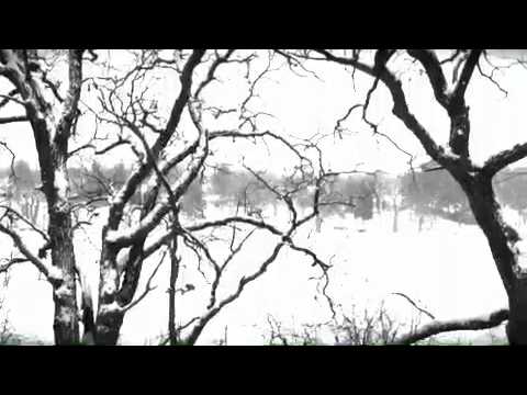 #snow Falling On A Frozen #Mississippi River