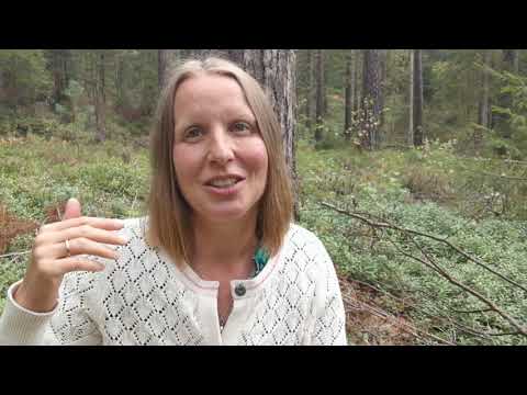 Was ist Lemurische Kristallheilung?