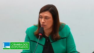  Eleição dos vice-presidentes e votação de requerimentos - 26/11/2025 14:00