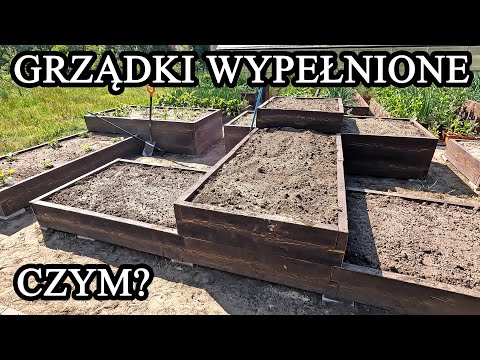 Grządki podwyższone. Czym wypełnić? Jak utrzymać w nich wodę i składniki odżywcze