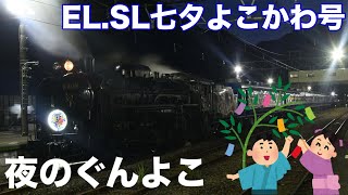 夜間のSLが凄すぎた❗️EL.SL七夕よこかわ号に乗車