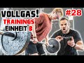 Anfänger? Finn muss endlich aufs nächste Level!