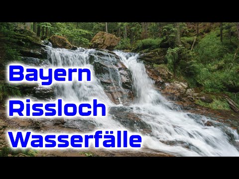 🌊 Rißloch Wasserfälle – Die größten Wasserfälle im Bayerischen Wald | Wandern im Bayerischen Wald 🌲