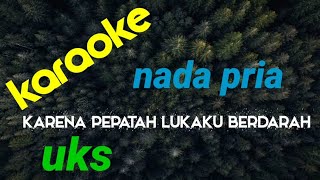 Download lagu KARAOKE KARENA PEPATAH LUKAKU BERDARAH / UKSY nada PRIA #nuansagembira mp3