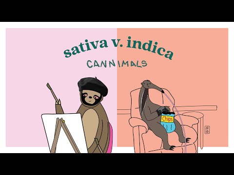 Sativa vs. Indica | Cannimals Ep 12