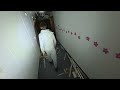 Exploring Canterbury City Mental Hospital