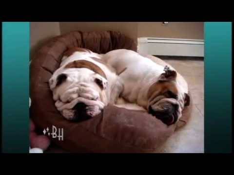 Feel Good Moment of the Day