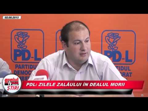 PDL ZILELE ZALAULUI IN DEALUL MORII