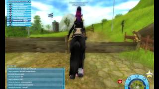 SV champ w/ Athena Beedaughter | Sso