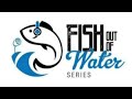 Lisa Loeb - Drops Me Down Reaction (Fish Out Of Water Series) - Fish Out Of Water Series Lisa Loeb - Drops Me Down Reaction (Fish Out Of Water Series)
