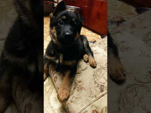 5 серпня 2025 р.