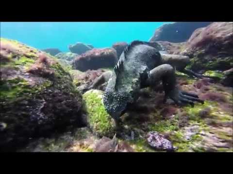 Around the world 360 Galapagos islands