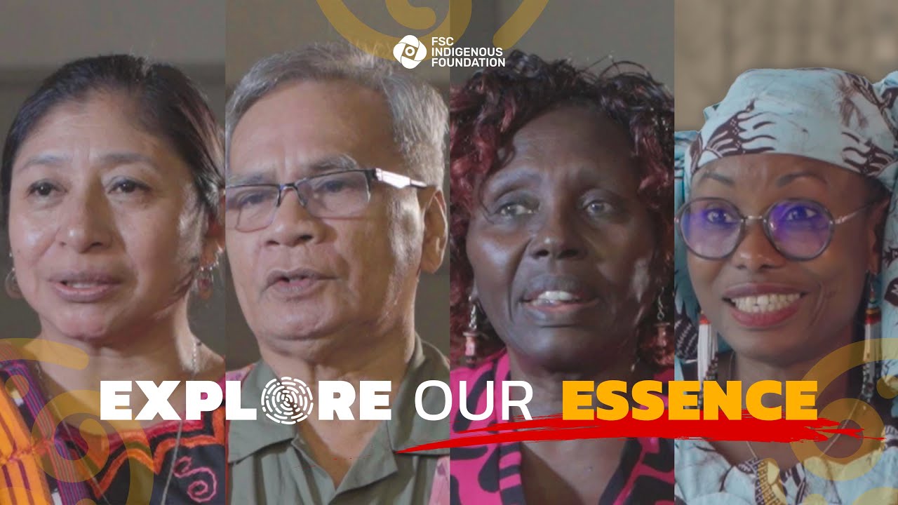 What is the FSC Indigenous Foundation?