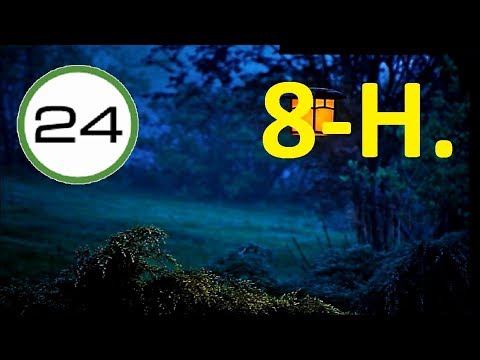 SONIDO de GRILLOS y PÁJAROS para DORMIR 8 HORAS🐜🐦 Sonidos Nocturnos de la Naturaleza para Dormir