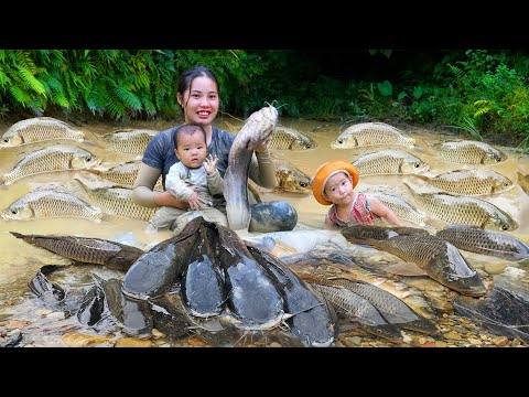 Encounter a huge school of carp & giant catfish to sell, how to make salted fish for preservation
