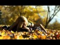 ERNESTO CORTAZAR - With You 