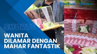 Viral Video Wanita di Bone Dilamar Pria dengan Mahar Fantastis, Siapa Sebenarnya Sosok Sang Pria?