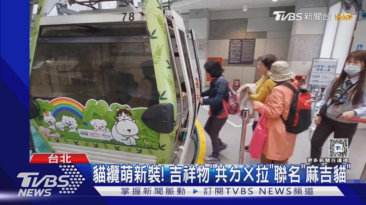 貓纜萌新裝!吉祥物「共ㄉㄨ拉」聯名「麻吉貓」